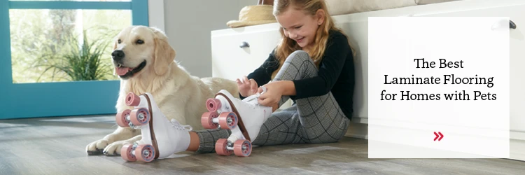 Laminate Floor for Dog Owners | National Design Mart