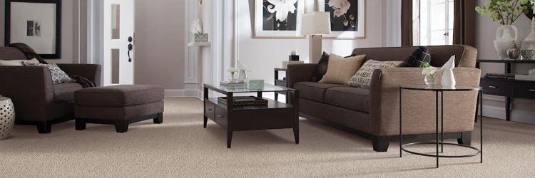 Guide to the Best Soft Carpet | National Design Mart