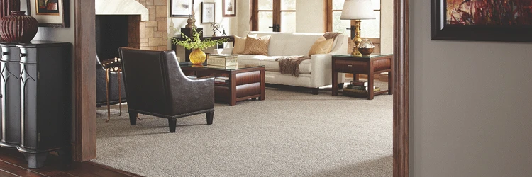 Remove Most Carpet Stains | National Design Mart