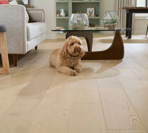 Why Engineered Flooring