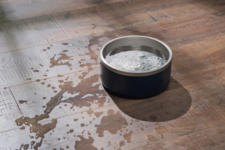 Types of Waterproof Flooring