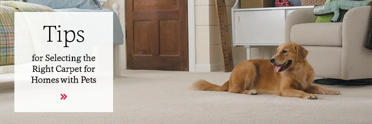 Pet perfect flooring | National Design Mart