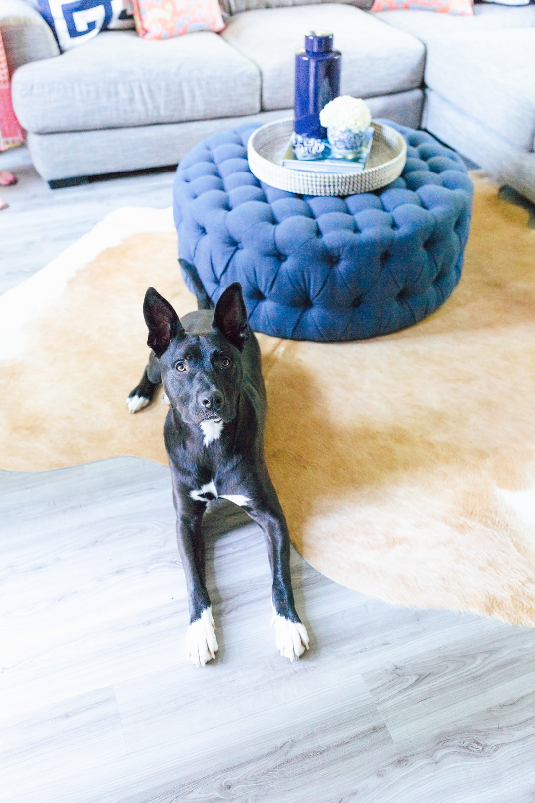 Waterproof, Baby-Proof, Dog-Proof Floor