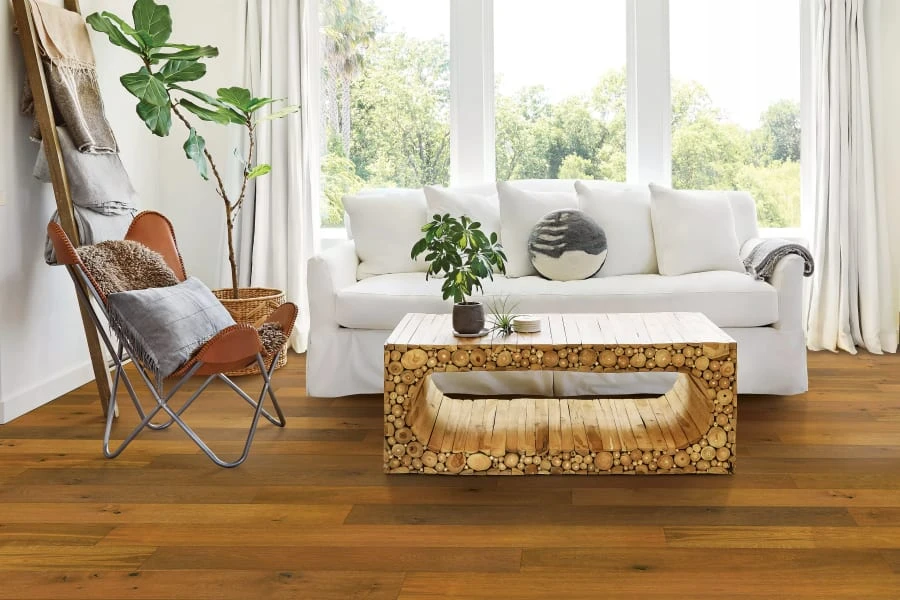 Modern Organic