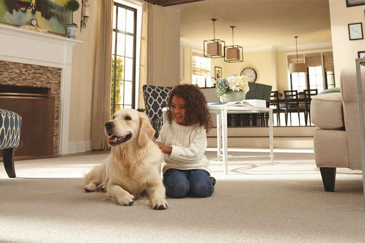 More Vacuuming Tips More Vacuuming Tips
