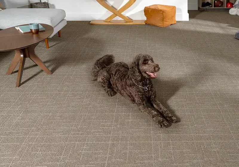 Pet friendly flooring